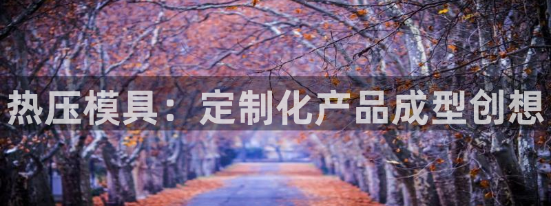 emc倍频超了：热压模具：定制化产品成型创想