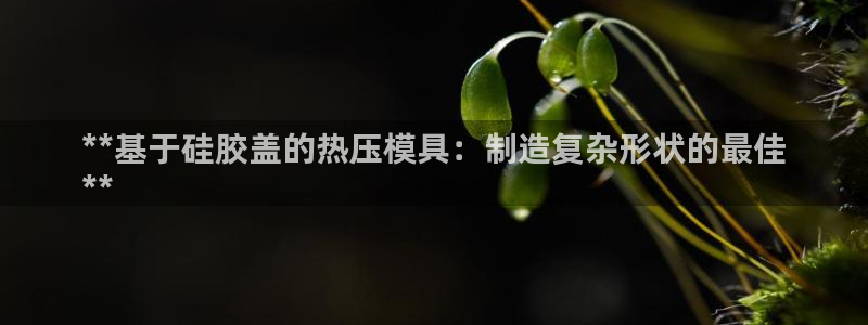 emc易倍官网首页：**基于硅胶盖的热压模具：制造复杂形