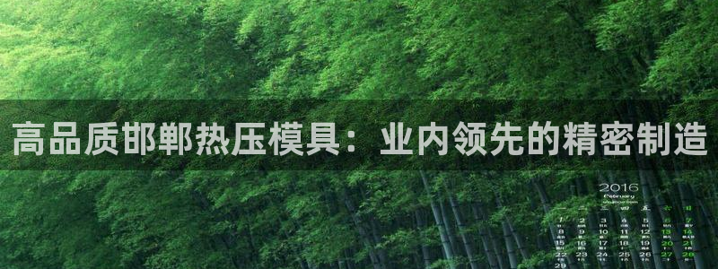 易倍申的副作用：高品质邯郸热压模具：业内领先的精密制造