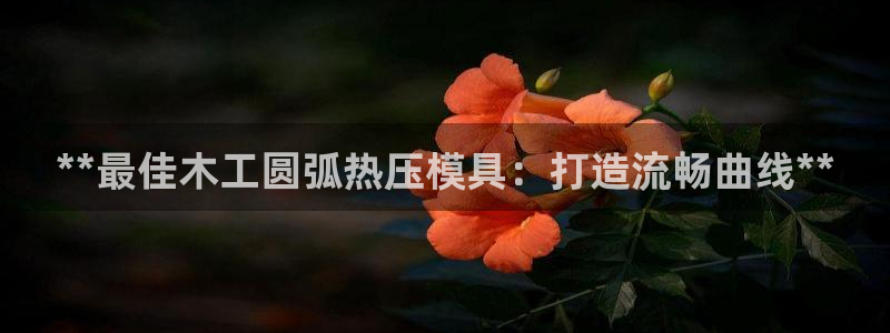 易倍纤谷物粉效果好吗：**最佳木工圆弧热压模具：打造流畅