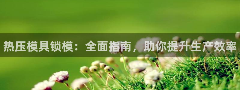 易倍申的副作用：热压模具锁模：全面指南，助你提升生产效率