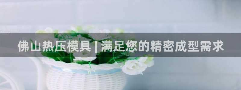 emc mcu：佛山热压模具 | 满足您的精密成型需求