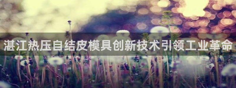 emc下载ios：湛江热压自结皮模具创新技术引领工业革命