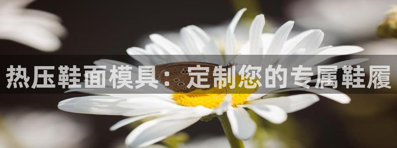 emc服务器是什么：热压鞋面模具：定制您的专属鞋履