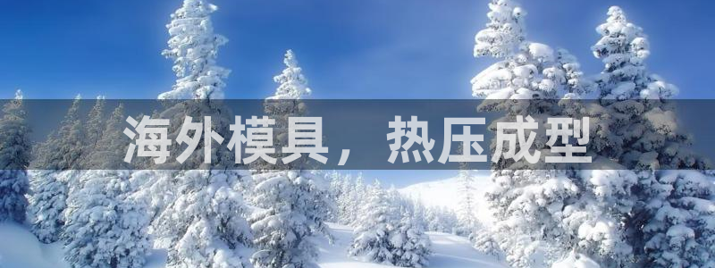 emc易倍黑吗：海外模具，热压成型
