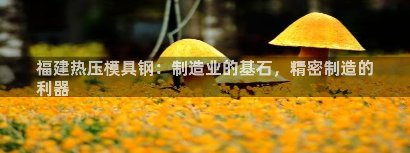 易倍单词官方网站的：福建热压模具钢：制造业的基石，精密制