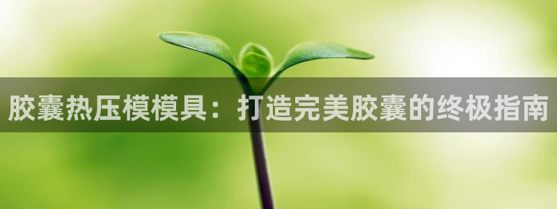 emc32软件：胶囊热压模模具：打造完美胶囊的终极指南