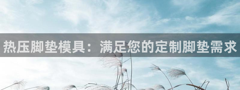 emc易倍最新链接：热压脚垫模具：满足您的定制脚垫需求