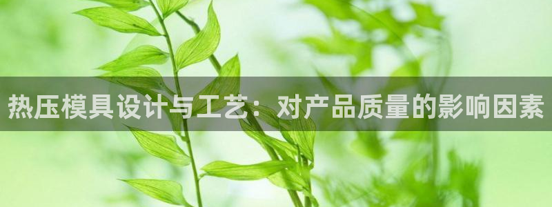 emc备份软件：热压模具设计与工艺：对产品质量的影响因素