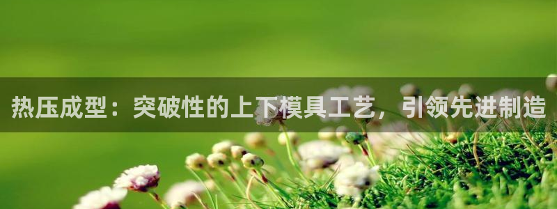 易倍纤谷物粉效果好吗：热压成型：突破性的上下模具工艺，引