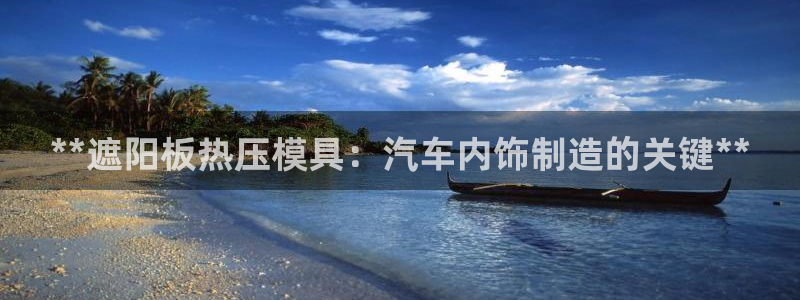 EMC易倍官方网址：**遮阳板热压模具：汽车内饰制造的关