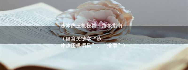 易倍网络技术有限公司是干嘛的：脉冲热压机模具：终极指南
