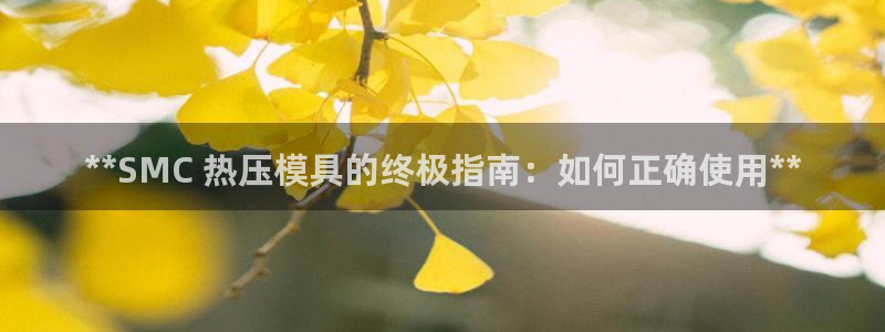 易倍申服用方法：**SMC 热压模具的终极指南：如何正确