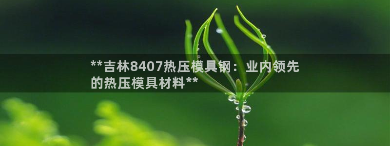 EMC易倍：**吉林8407热压模具钢：业内领先
的热压