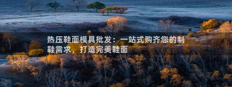 易倍网络技术有限公司是干嘛的：热压鞋面模具批发：一站式购