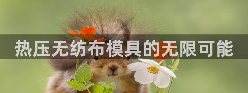 易倍全站下载：热压无纺布模具的无限可能