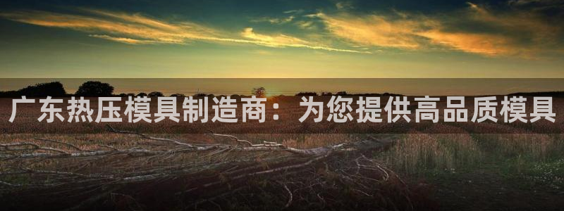 emc全站下载：广东热压模具制造商：为您提供高品质模具