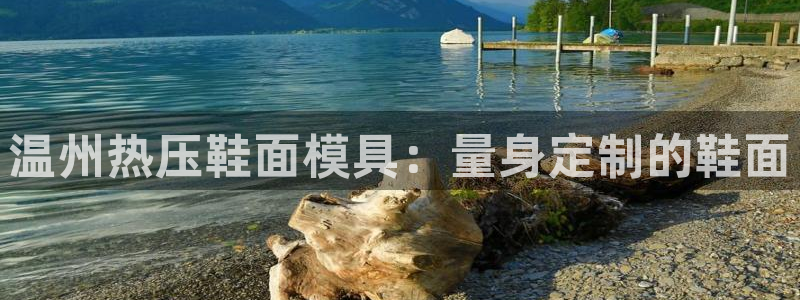 emc易倍官网：温州热压鞋面模具：量身定制的鞋面