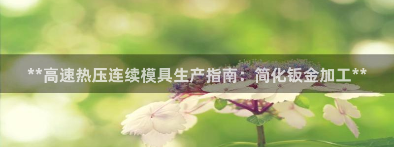 emc登录网站：**高速热压连续模具生产指南：简化钣金加