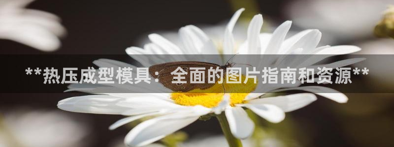 易倍纤怎么使用：**热压成型模具：全面的图片指南和资源*