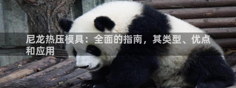 北京易倍思教育科技有限公司：尼龙热压模具：全面的指南，其
