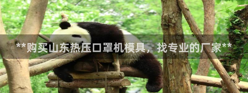 emc参数：**购买山东热压口罩机模具，找专业的厂家**