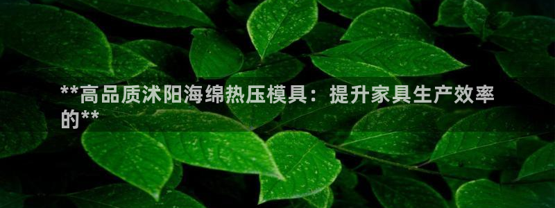 易倍emc全站：**高品质沭阳海绵热压模具：提升家具生产