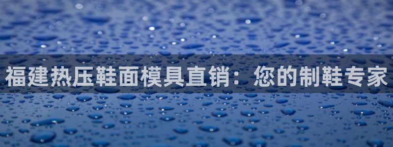 emc易贝体育怎么样：福建热压鞋面模具直销：您的制鞋专家