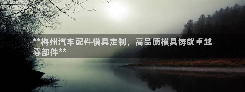 emc易倍官方平：**梅州汽车配件模具定制，高品质模具铸