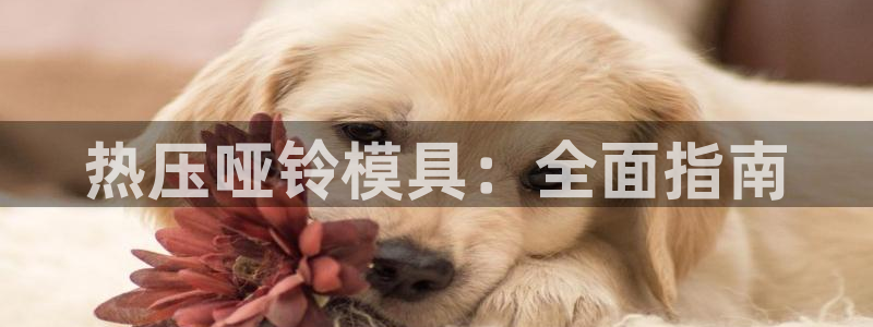 emc倍频干扰怎么解决：热压哑铃模具：全面指南