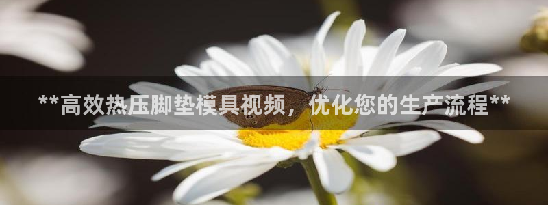 emc低频不过：**高效热压脚垫模具视频，优化您的生产流