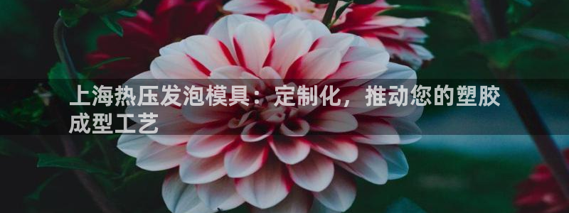 EMC易倍：上海热压发泡模具：定制化，推动您的塑胶
成型