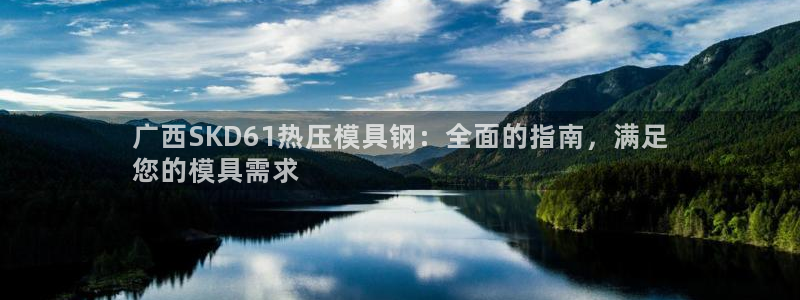 易倍纤价格：广西SKD61热压模具钢：全面的指南，满足
