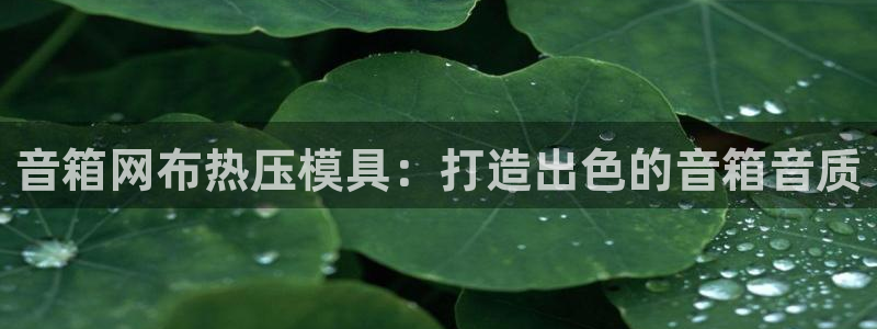 易倍申不良反应：音箱网布热压模具：打造出色的音箱音质