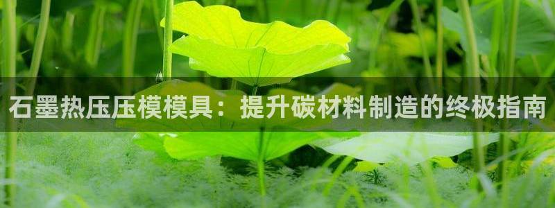 易倍康简历：石墨热压压模模具：提升碳材料制造的终极指南