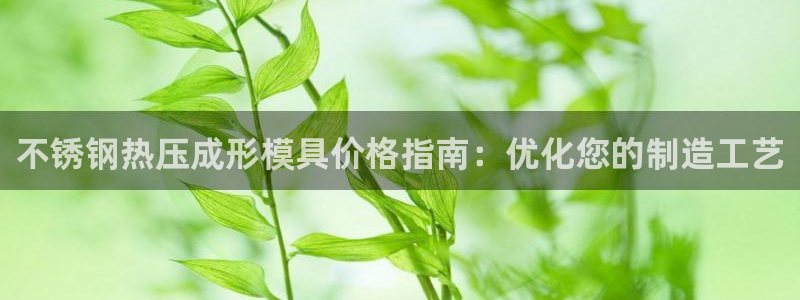 易倍纤瘦身三部曲的价格：不锈钢热压成形模具价格指南：优化