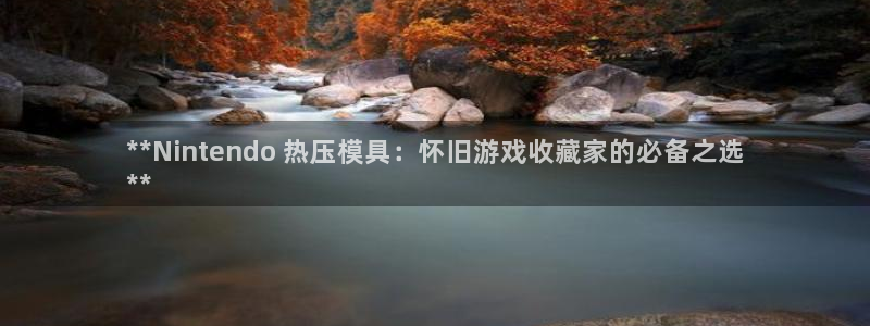 武汉易倍捷科技有限公司：**Nintendo 热压模具：