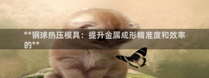 emc易倍黑吗：**钢球热压模具：提升金属成形精准度和效