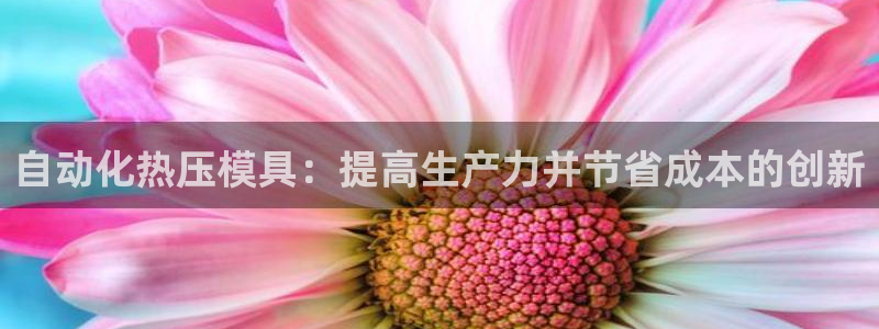 易倍纤代餐奶昔怎么样：自动化热压模具：提高生产力并节省成