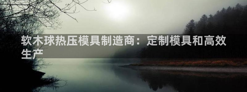 emc全站app下载：软木球热压模具制造商：定制模具和高