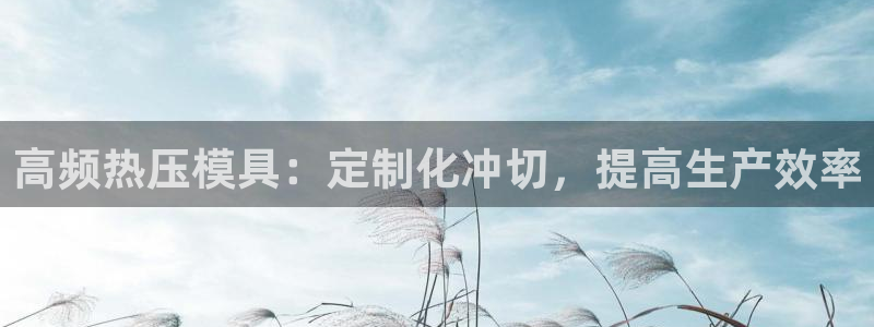 emc倍频干扰怎么解决：高频热压模具：定制化冲切，提高生