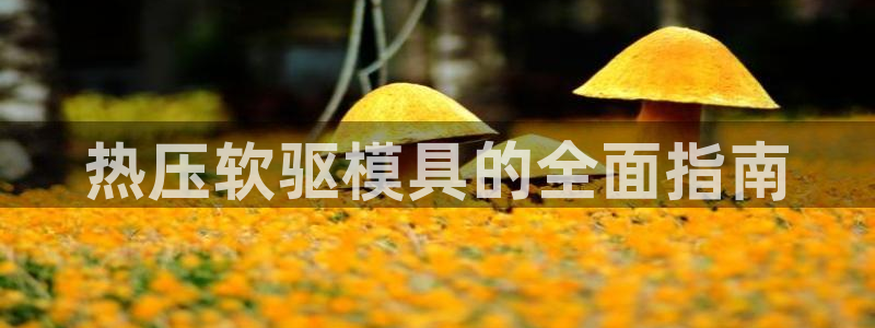 emcbet全站：热压软驱模具的全面指南