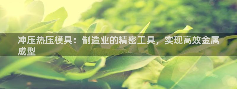 易倍下载地址：冲压热压模具：制造业的精密工具，实现高效金
