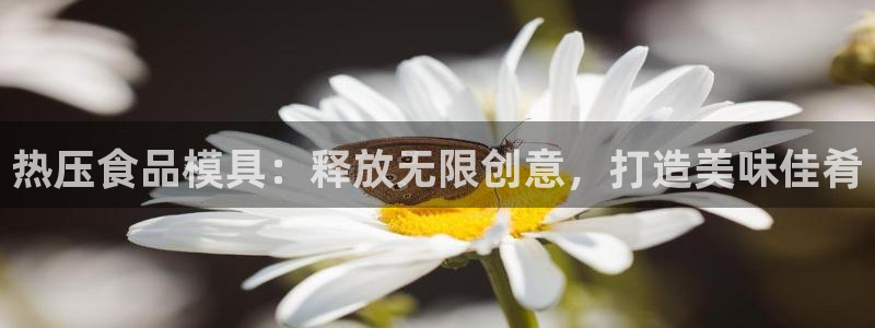杭州易倍达：热压食品模具：释放无限创意，打造美味佳肴