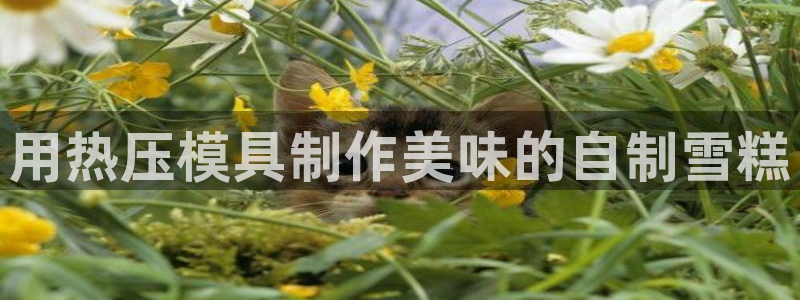 emc易倍首存500送球衣：用热压模具制作美味的自制雪糕