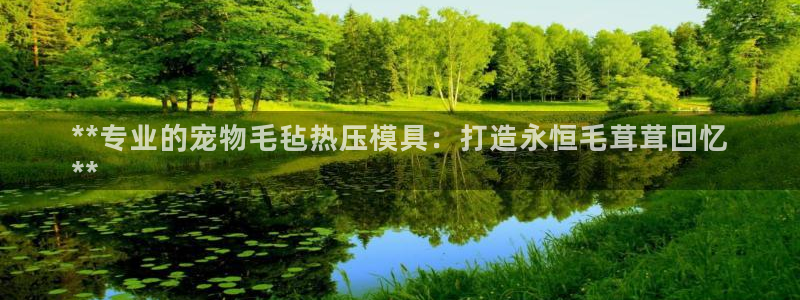 易倍纤奶昔减肥效果怎么样：**专业的宠物毛毡热压模具：打