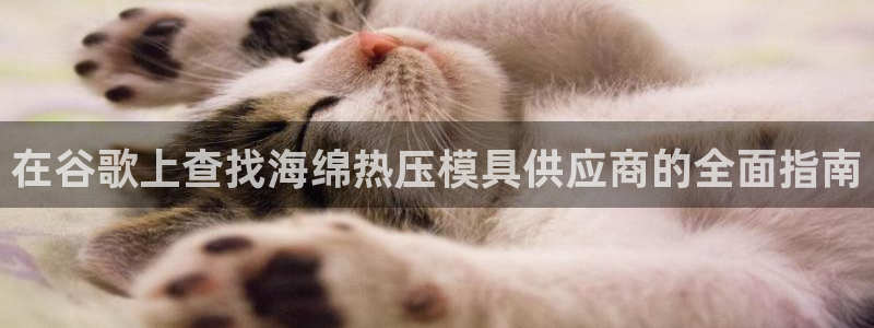 EMC易倍：在谷歌上查找海绵热压模具供应商的全面指南
