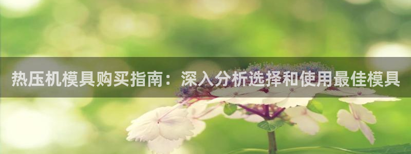 易倍申安理申区别：热压机模具购买指南：深入分析选择和使用