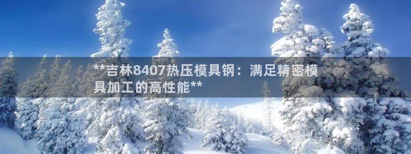 易倍申可以长期服用吗：**吉林8407热压模具钢：满足精