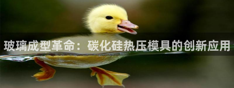 武汉易倍捷科技有限公司：玻璃成型革命：碳化硅热压模具的创